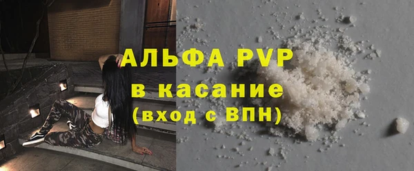 амф Коряжма