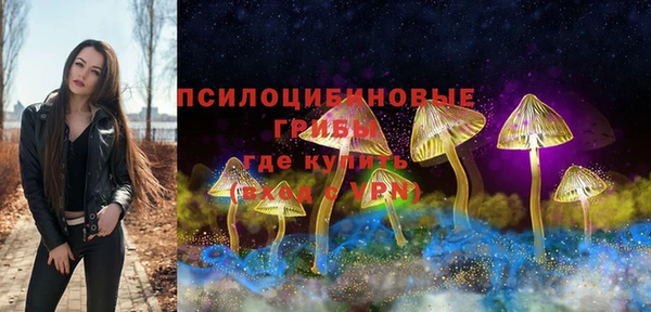 героин Каменка
