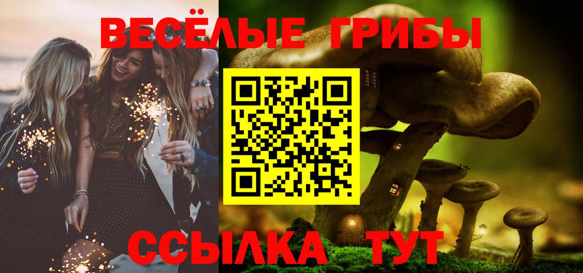 Галлюциногенные грибы MAGIC MUSHROOMS  Галлюциногенные грибы мицелий  Кондопога  Вход с VPN 