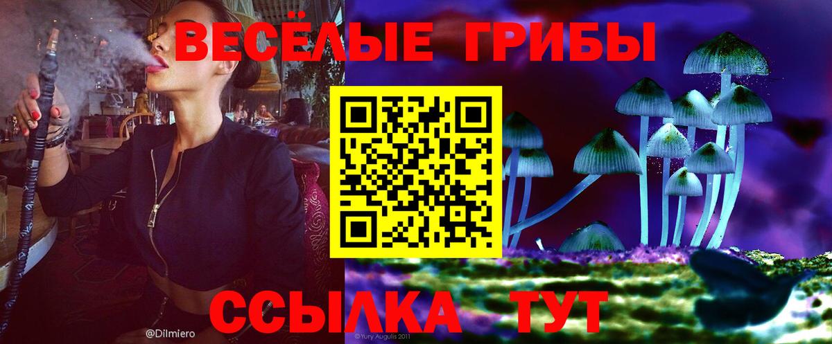 Меф Кондопога